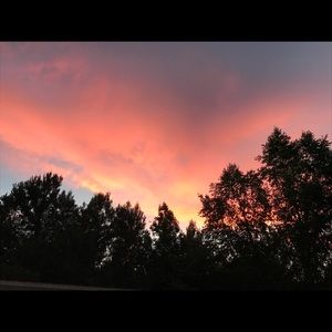 Meet your Posher, Lacey